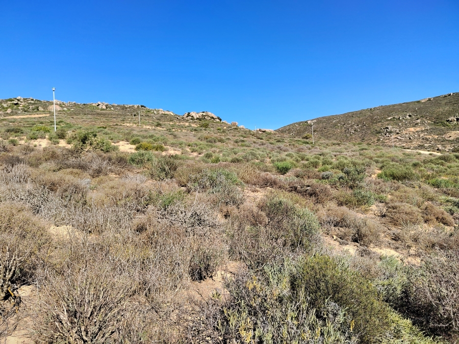 0 Bedroom Property for Sale in Steenbergs Cove Western Cape